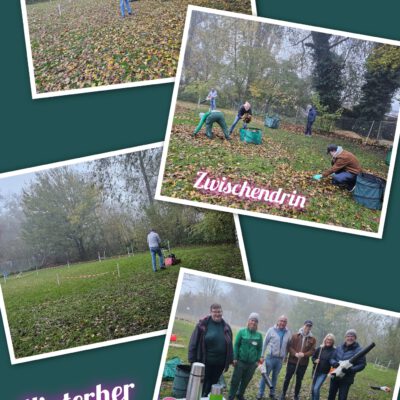 Erste „Laubaktion“ auf dem Hundeplatz – ein voller Erfolg!