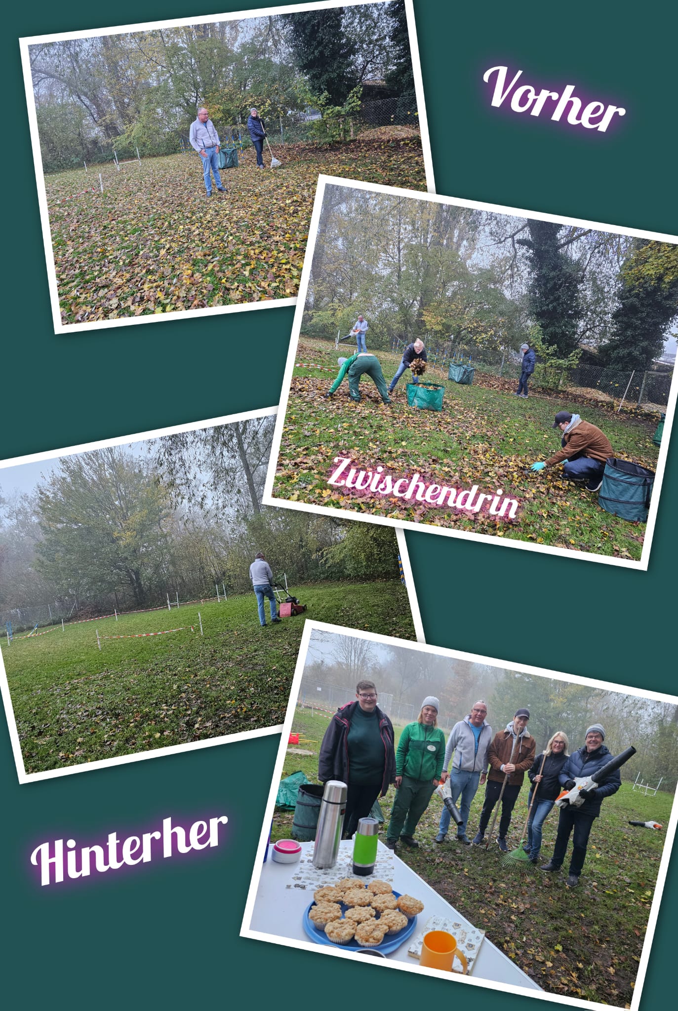 Erste „Laubaktion“ auf dem Hundeplatz – ein voller Erfolg!