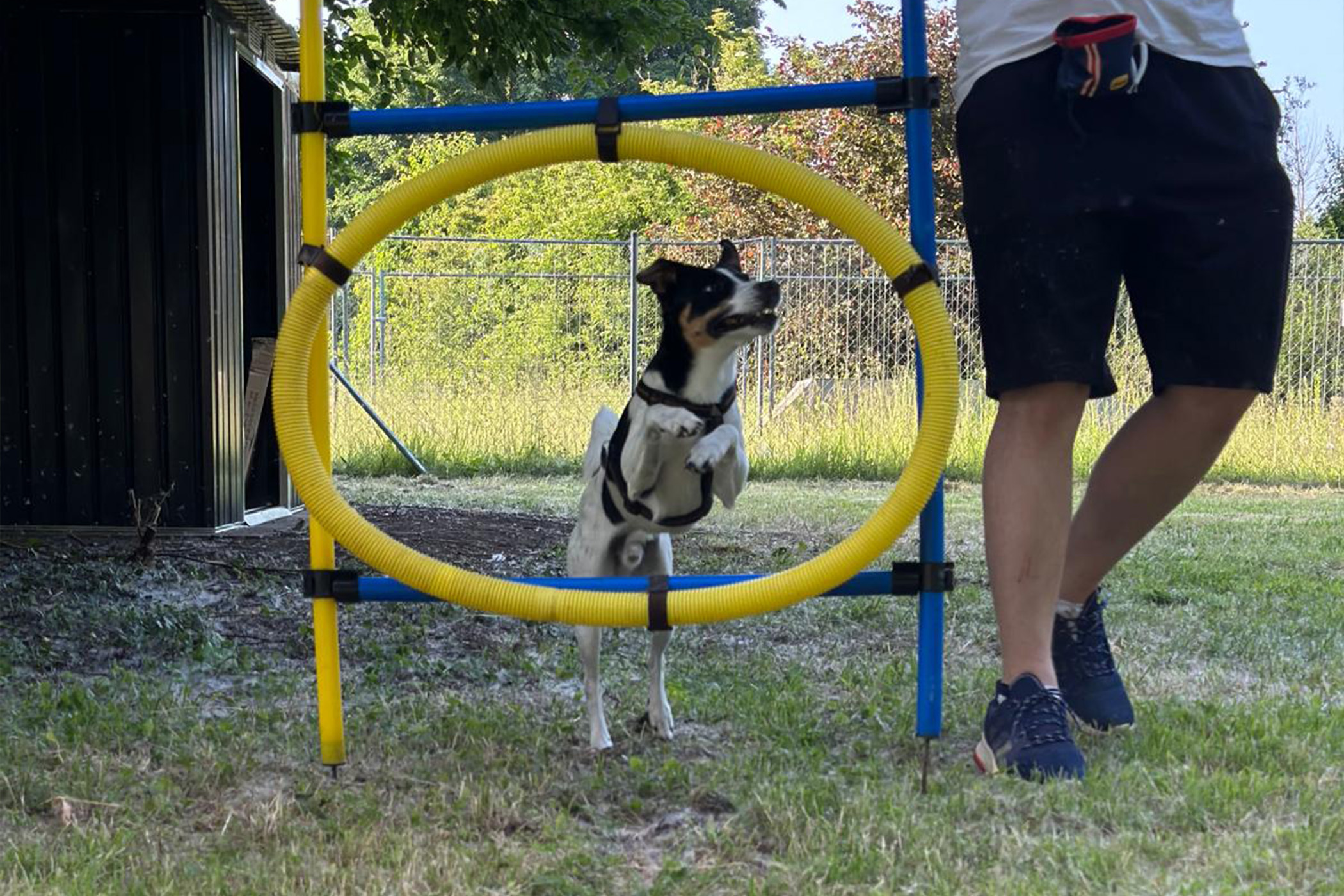 Agility Light
